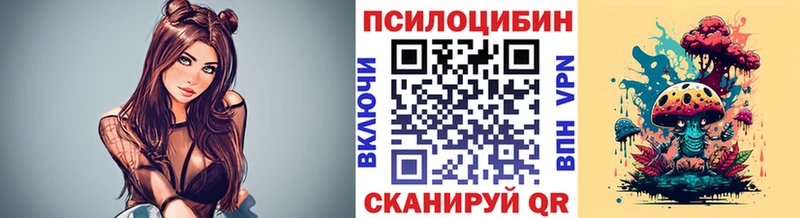 Псилоцибиновые грибы мицелий магазин наркотиков Сухой Лог