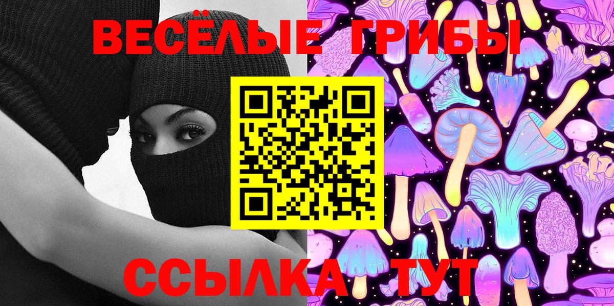 Сухой Лог  Галлюциногенные грибы мухоморы  Вход с VPN 