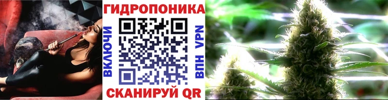 как найти Сухой Лог Канабис THC 21%